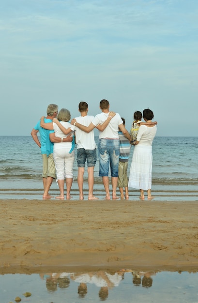 Retrato de uma família feliz na praia no verão, vista traseira