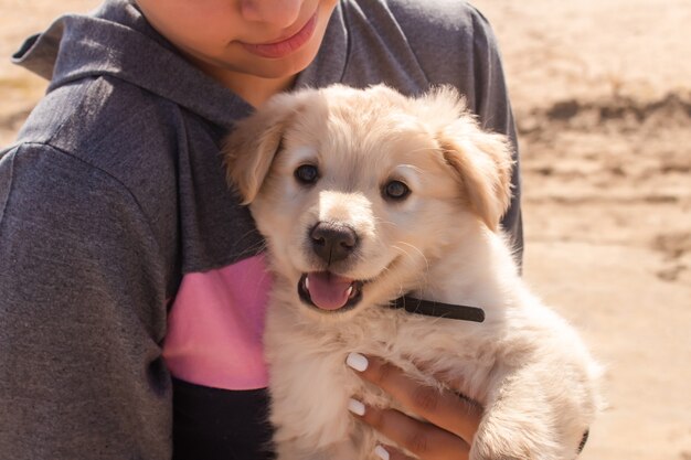 Retrato de uma garota fitness segurando seu cachorro na praia.