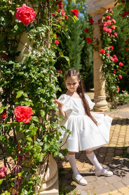 Retrato de uma jovem em um fundo de rosas vermelhas Menina e roseiras Linda jovem