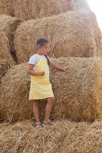 Retrato de uma jovem garota legal de pé no palheiro pensando olhos olhando para baixo e segurando feno em uma mão usando vestido de verão se divertindo longe da cidade no campo cheio de feno dourado