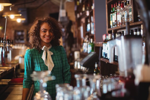 Retrato de uma linda barman