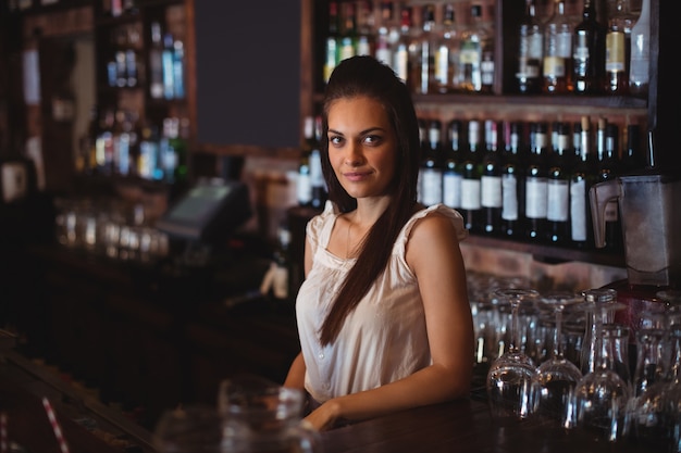 Retrato de uma linda barman