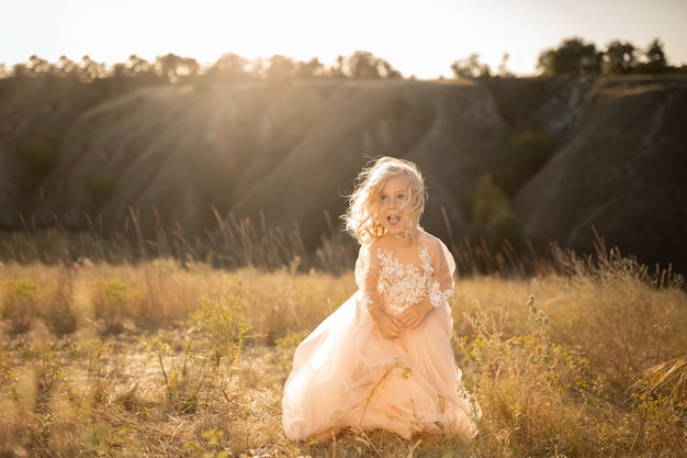 Retrato de uma linda menina princesa em um vestido rosa. Posando em um campo ao pôr do sol