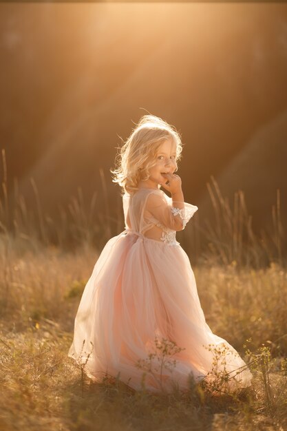 Retrato de uma linda menina princesa em um vestido rosa. Posando em um campo ao pôr do sol