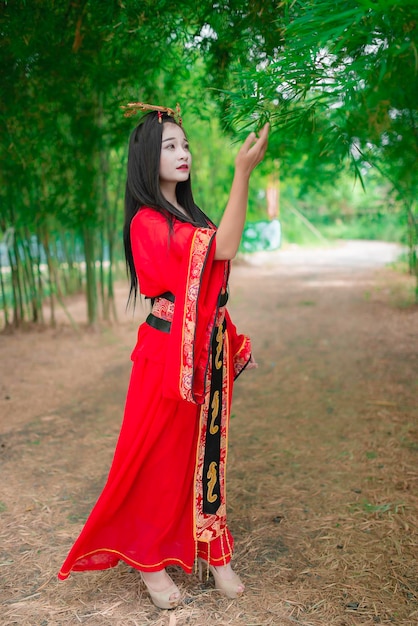 Retrato de uma linda mulher asiática usando um antigo estilo de vestido chinês na floresta de bambuTailândiapessoascena do filme chinês