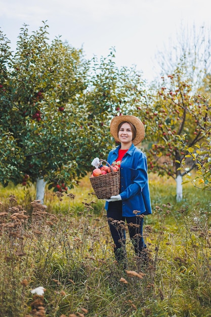 Retrato de uma linda mulher colhendo maçãs em um pomar Segurando uma cesta de maçãs Ele usa uma camisa elegante e um chapéu de palha Colhendo maçãs no jardim no outono