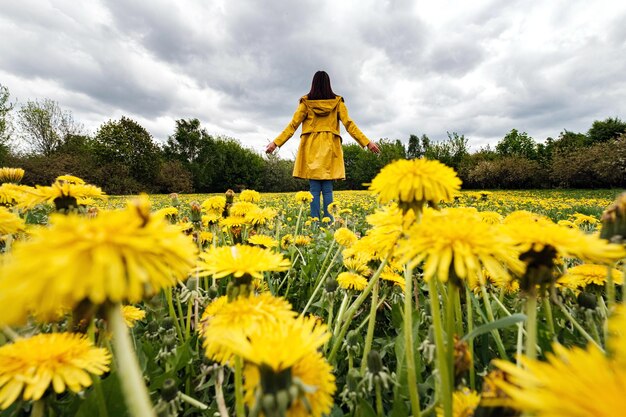 Retrato de uma linda mulher em um campo de flores de leão