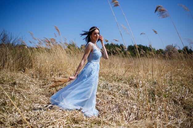 Retrato de uma menina delicada em um vestido azul longo com ervilhas secas com um sorriso no rosto em um dia quente e ensolarado de verão