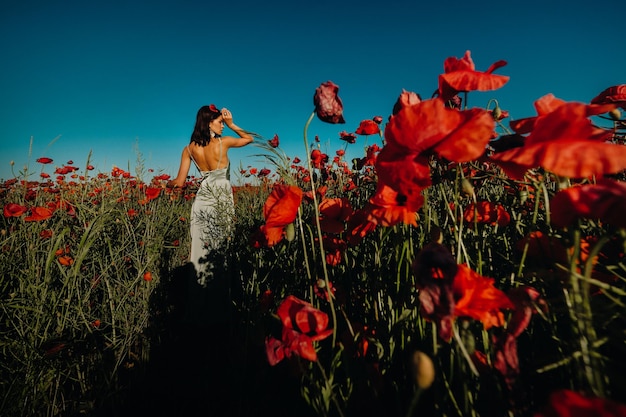 Retrato de uma menina em um vestido em um campo de papoulas ao pôr do sol