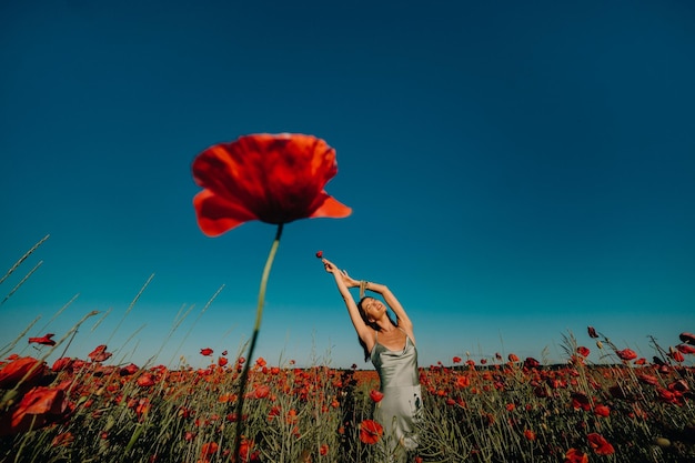 Retrato de uma menina em um vestido em um campo de papoulas ao pôr do sol