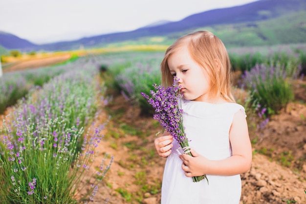 Retrato de uma menina loira que está de pé entre um campo de lavanda e cheirando uma flor de lavanda que ela está segurando nas mãos