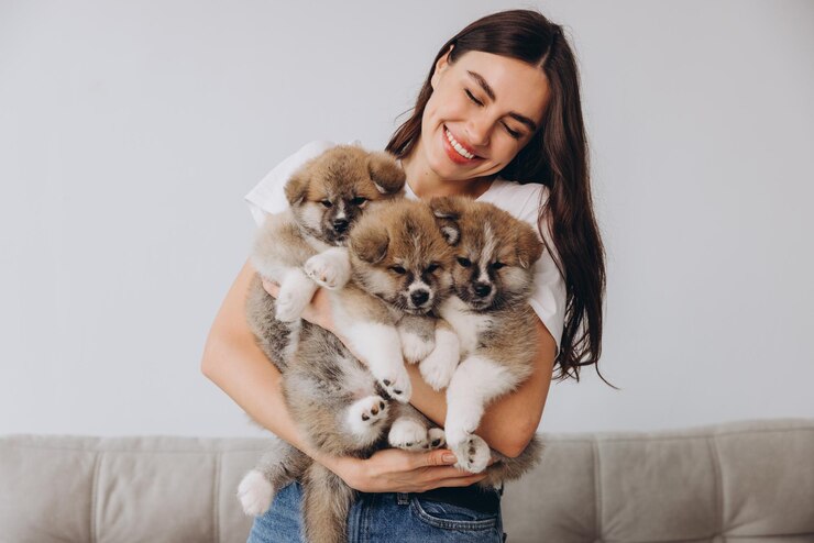 Retrato de uma mulher millennial sorridente feliz segurando cachorros Akita Inu em fundo branco