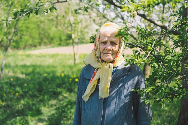 Retrato de uma velha feliz em um lenço amarelo Retrato de uma avó adulta grisalha no contexto da natureza