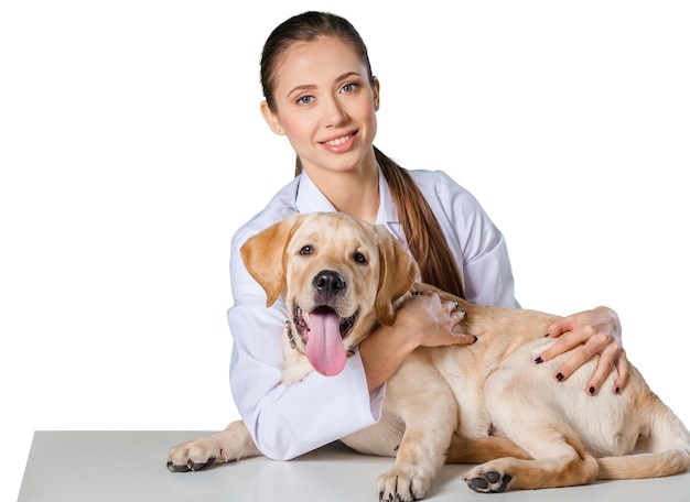 Retrato de veterinário feminino confiante examinando cão no hospital