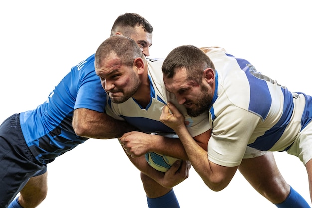 Retrato dinámico de jugadores masculinos de rugby jugando rugby en campo de hierba aislado en fondo blanco