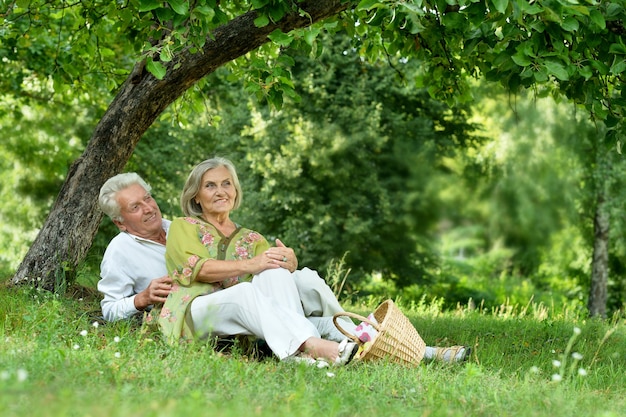 Retrato de divertida pareja de ancianos de picnic