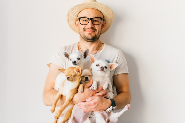 Retrato do estilo de vida do jovem hippie feliz no chapéu de palha e óculos, segurando quatro cachorrinhos chihuahua nas mãos sobre parede branca,