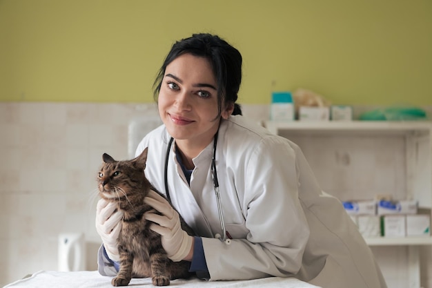 Retrato de una doctora en una clínica veterinaria en el hospital de animales sosteniendo un lindo gato enfermo