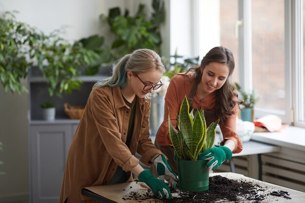 Retrato de dos mujeres floristas sonrientes macetas de plantas mientras trabaja en la tienda de flores o jardinería juntos, espacio de copia