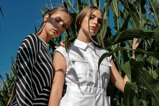 Retrato de dos mujeres jóvenes en ropa elegante entre el follaje de un campo de maíz