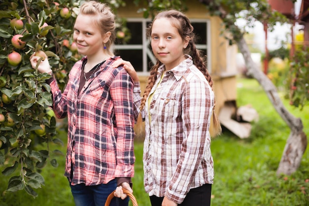 retrato, de, dos, niñas adolescentes, escoger, manzanas, en, jardín, en, pueblo