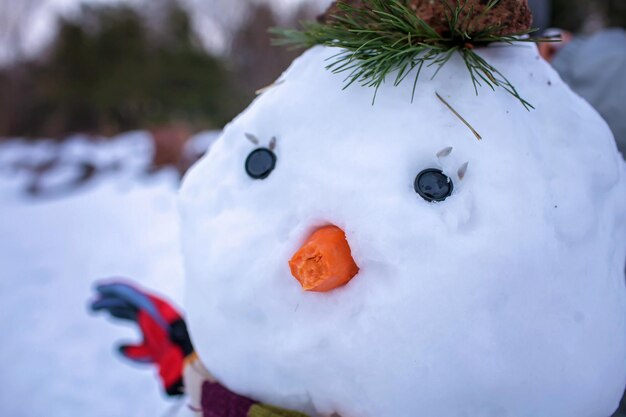 Retrato em close-up de boneco de neve com um espaço de cenoura mordida para texto fim de semana familiar sazonal