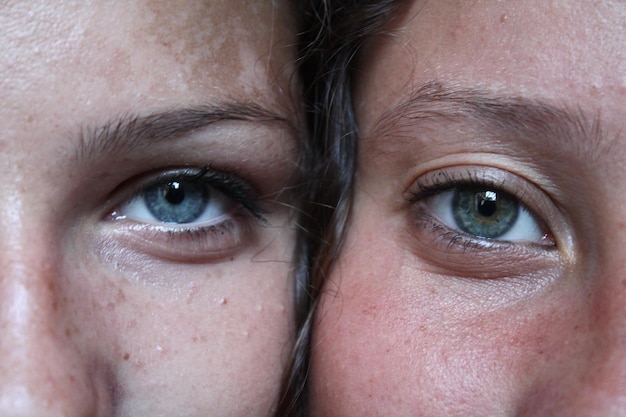 Foto retrato em close-up de fêmeas