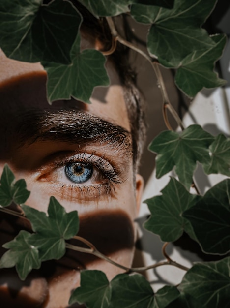 Foto retrato em close-up de um menino com folhas