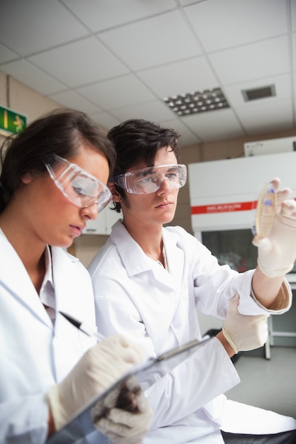 Retrato de estudiantes en la ciencia mirando una placa de Petri