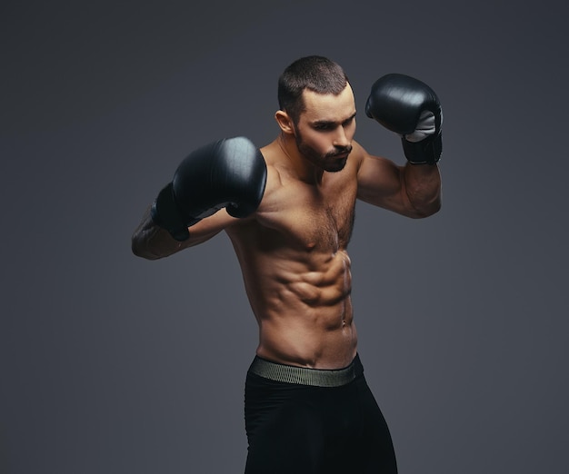 Retrato de estudio de un boxeador atlético brutal sin camisa con guantes de boxeo negros sobre fondo gris.