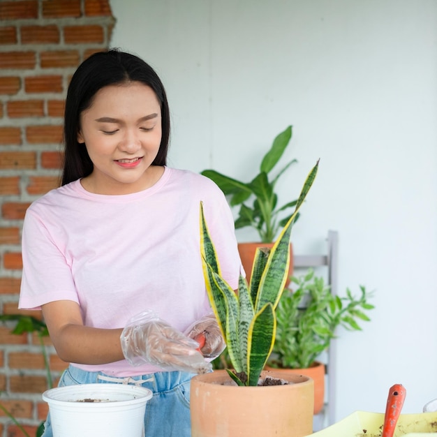 Retrato feliz joven plantar un árbol en maceta en casa chica asiática