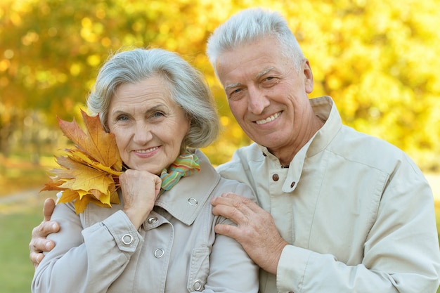 Retrato, de, feliz, pareja mayor, en, otoño, parque