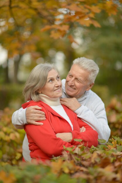 Retrato, de, feliz, pareja mayor, en, otoño, parque