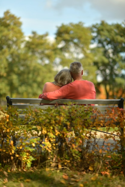 Retrato, de, un, feliz, pareja mayor, en, otoño, parque