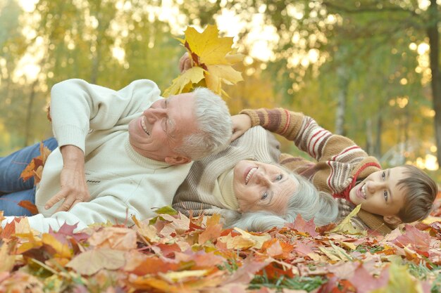 Retrato, de, un, feliz, pareja mayor, en, otoño, parque