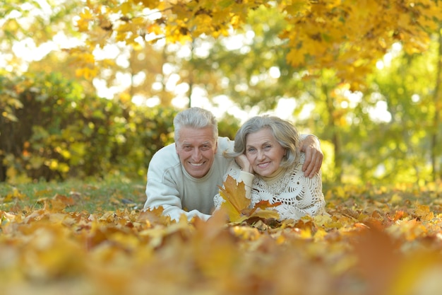 Retrato, de, un, feliz, pareja mayor, en, otoño, parque