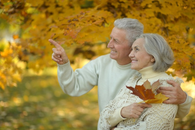 Retrato, de, un, feliz, pareja mayor, en, otoño, parque