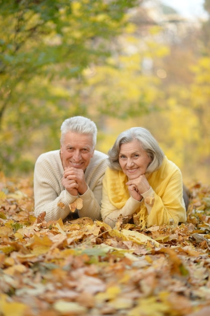 Retrato, de, un, feliz, pareja mayor, en, otoño, parque