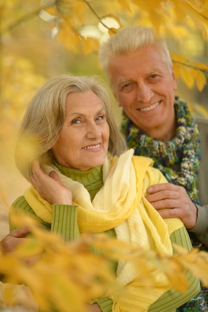 Retrato, de, un, feliz, pareja mayor, en, otoño, parque