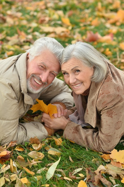 Retrato, de, un, feliz, pareja mayor, en, otoño, parque