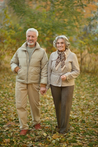 Retrato, de, un, feliz, pareja mayor, en, otoño, parque