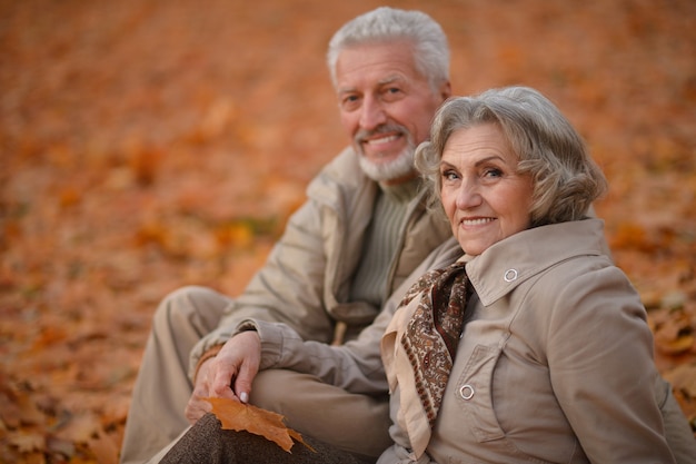 Retrato, de, un, feliz, pareja mayor, en, otoño, parque