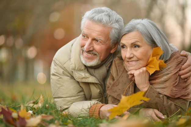 Retrato, de, un, feliz, pareja mayor, en, otoño, parque