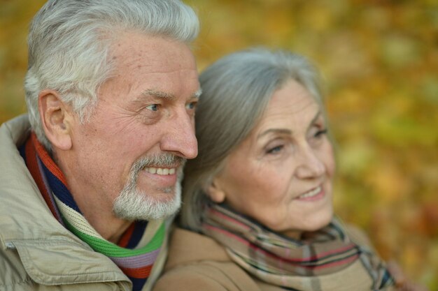 Retrato, de, un, feliz, pareja mayor, en, otoño, parque