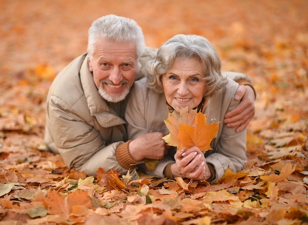 Retrato, de, un, feliz, pareja mayor, en, otoño, parque