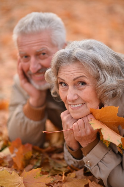 Retrato, de, un, feliz, pareja mayor, en, otoño, parque