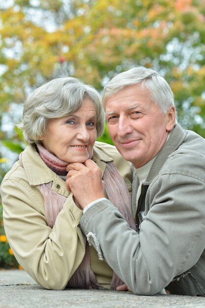 Retrato, de, feliz, pareja mayor, en, otoño, parque