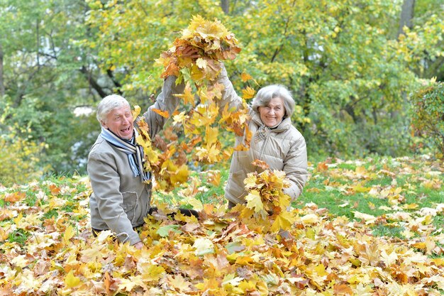 Retrato, de, feliz, pareja mayor, en, otoño, parque