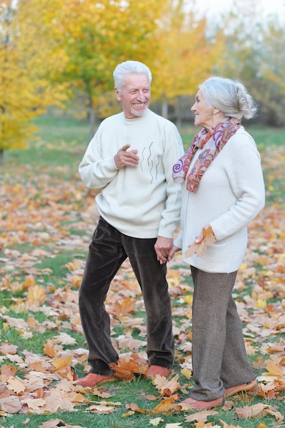 Retrato, de, feliz, pareja mayor, en, otoño, parque