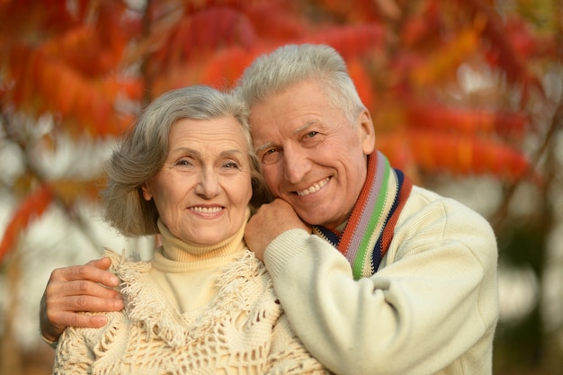 Retrato, de, un, feliz, pareja mayor, en, otoño, parque